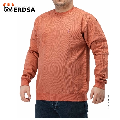 بلوز مردانه Polo مدل 33329