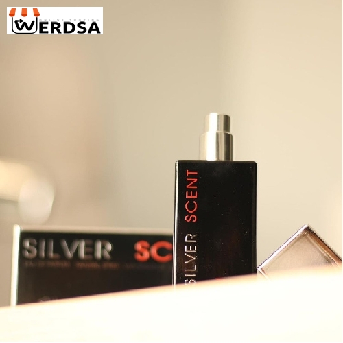 عطر جیبی مردانه ان وی حجم 30 میلی لیتر