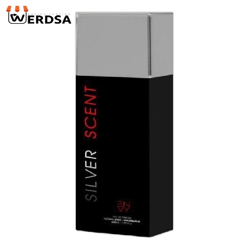 عطر جیبی مردانه ان وی حجم 30 میلی لیتر
