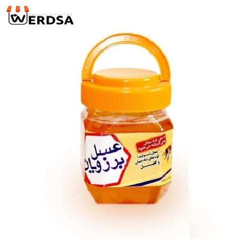 عسل کنار 500 گرمی خام
