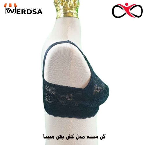 قیمت  گن سینه مدل کش پهن مبینا
 ارزان